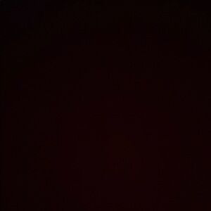 Women’s University of Alabama Nike Tempo Athletic Shorts (Bundle of 4) Small